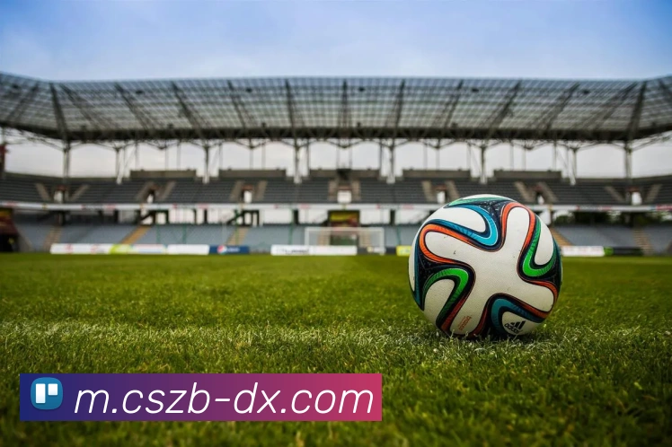 App Interface Preview